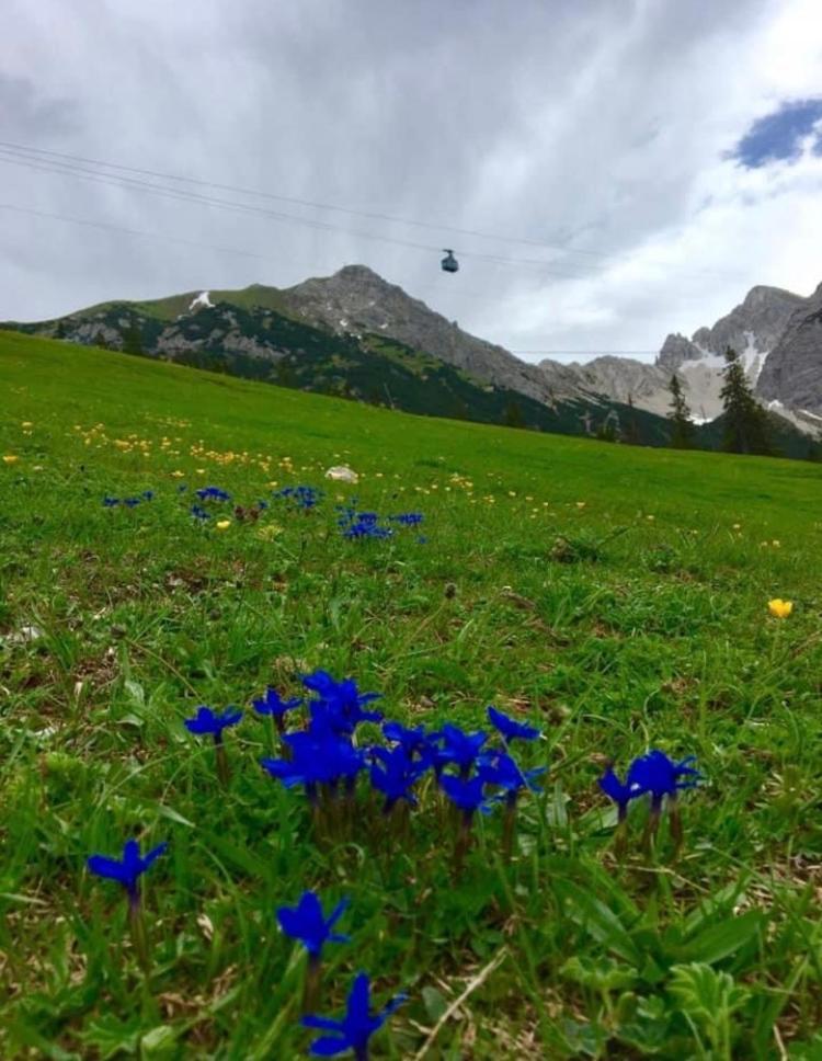 Relax Seefeld Apartman Seefeld in Tirol Luaran gambar